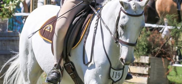 Heidi fly wanaka show 2021