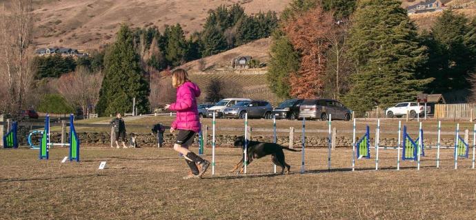 Queenstown Dog Agility Club