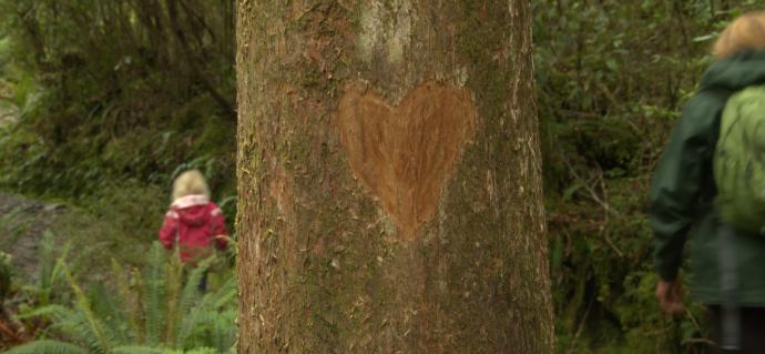 DSC 5023 NEF shotwell