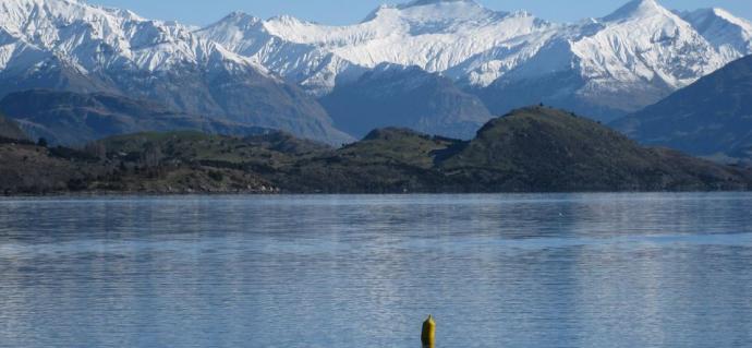 Wanaka Lakes Swim Club