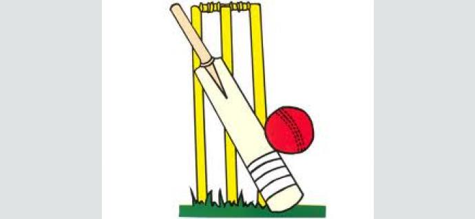 cricket.jpg