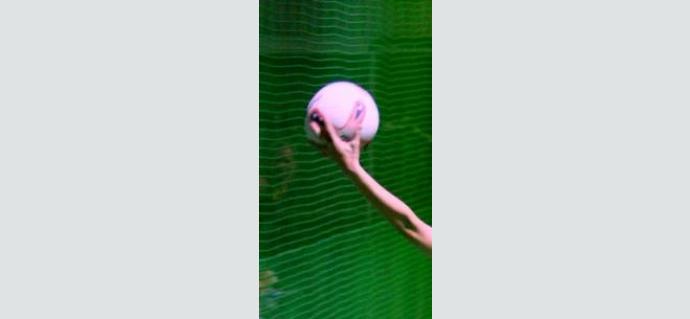 indoor_netball.jpg